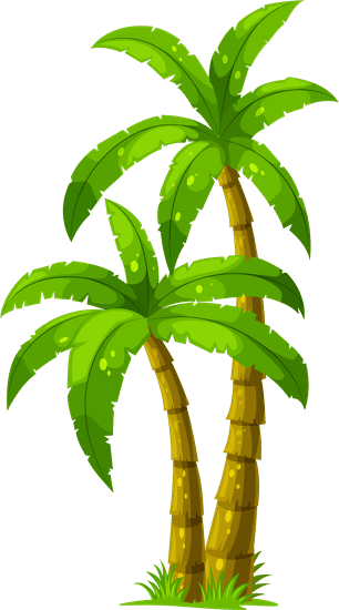 Discover My Paradise: Your Guide to Costa Rica Travel and Expat Living